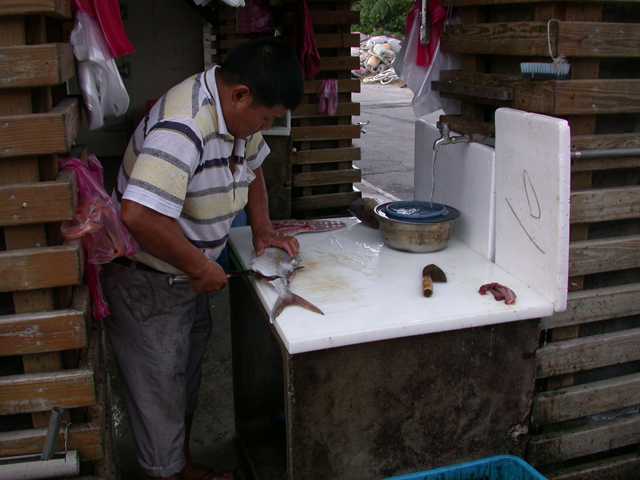 fish cuting